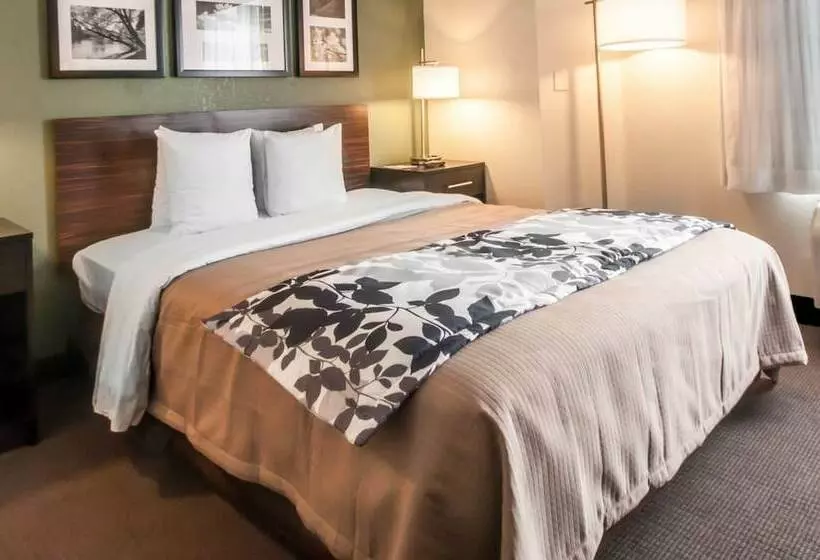 فندق Sleep Inn Cinnaminson Philadelphia East