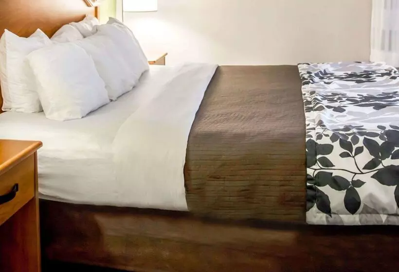 ホテル Sleep Inn