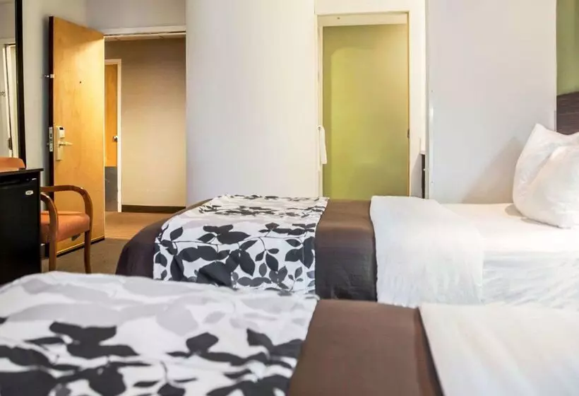 ホテル Sleep Inn