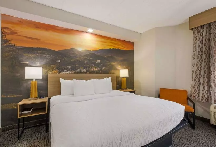 호텔 Clarion Pointe Sevierville Pigeon Forge
