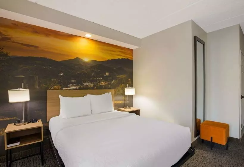 호텔 Clarion Pointe Sevierville Pigeon Forge