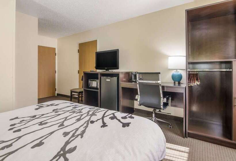 酒店 Sleep Inn Wytheville I77 And I81