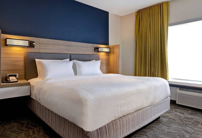 فندق Springhill Suites By Marriott Las Cruces