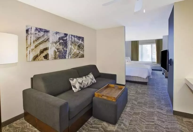 هتل Springhill Suites Minneapolisst. Paul Airport/eagan