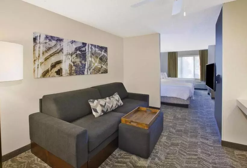 هتل Springhill Suites Minneapolisst. Paul Airport/eagan