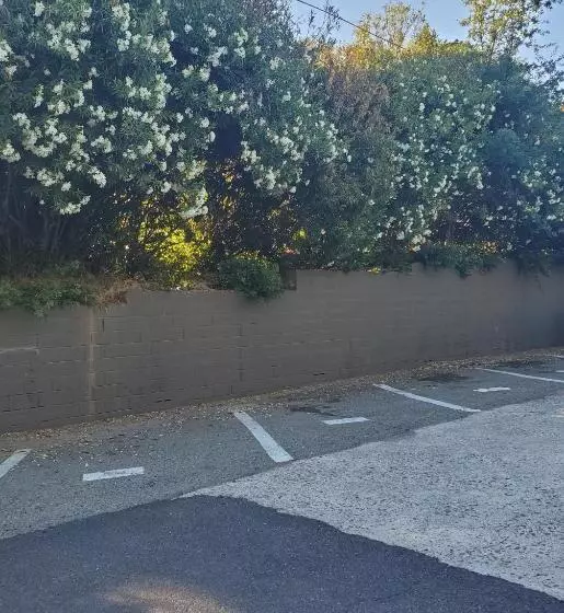 ホテル The Gold Lodge