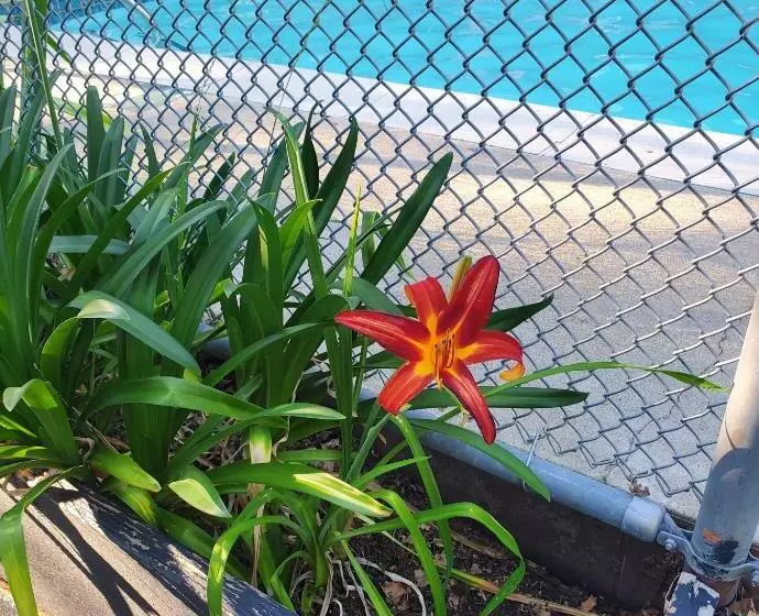 ホテル The Gold Lodge