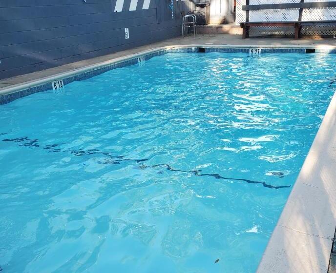 فندق The Gold Lodge