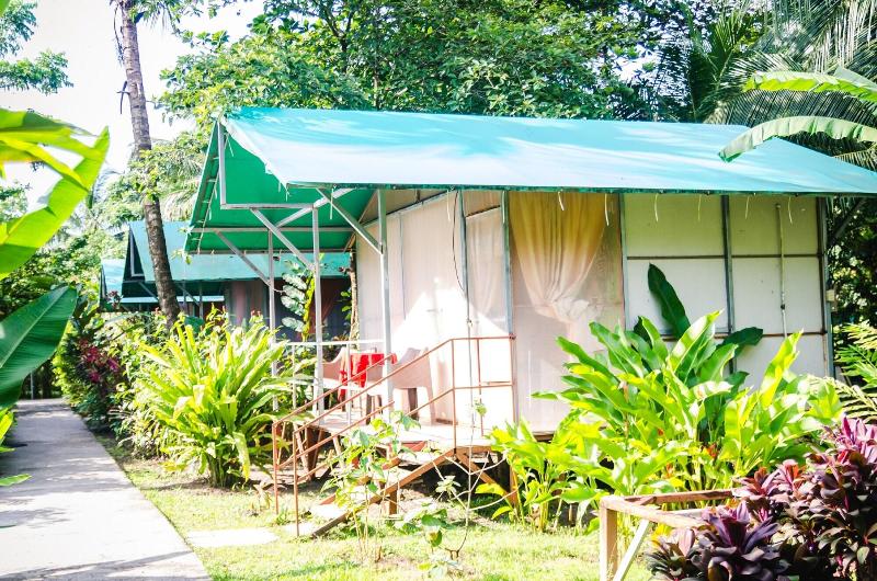 فندق Tortuguero Beachfront
