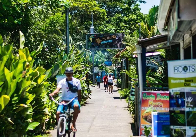 ホテル Tortuguero Beachfront