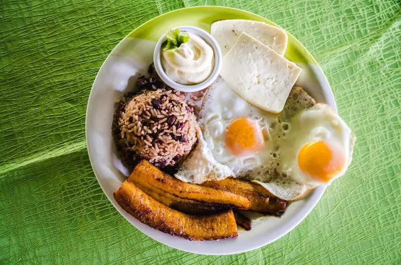 ホテル Tortuguero Beachfront