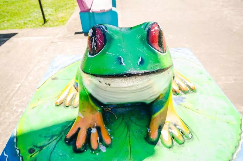ホテル Tortuguero Beachfront