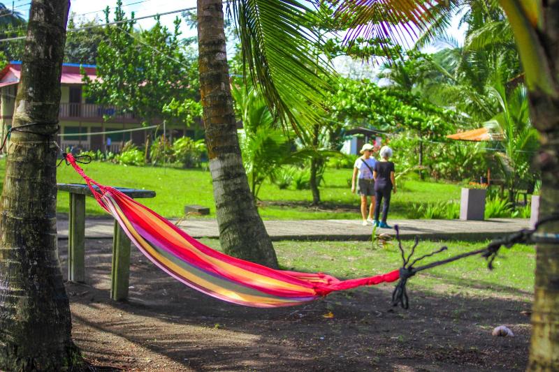 فندق Tortuguero Beachfront