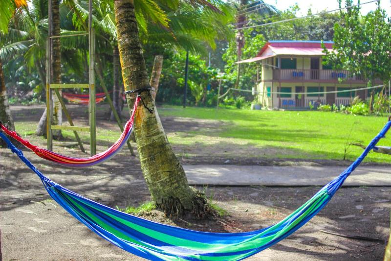 فندق Tortuguero Beachfront