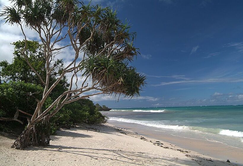 Apple Mango Apartments