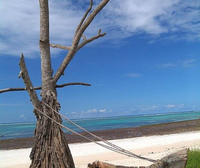 Apple Mango Apartments
