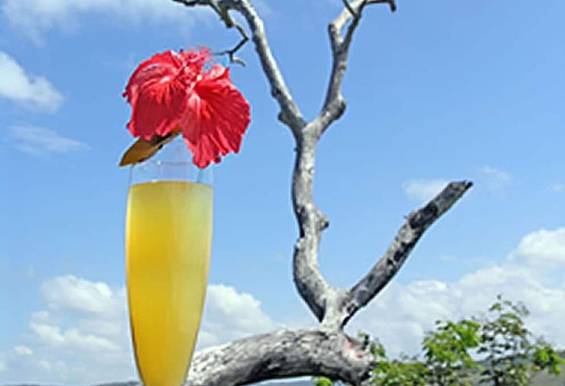 Apple Mango Apartments