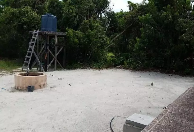 Nautica Service Maison Rose