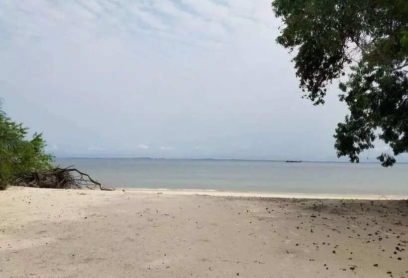 Nautica Service Maison Rose