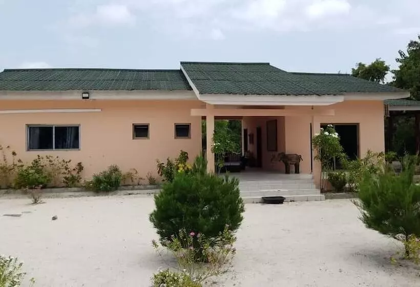 Nautica Service Maison Rose