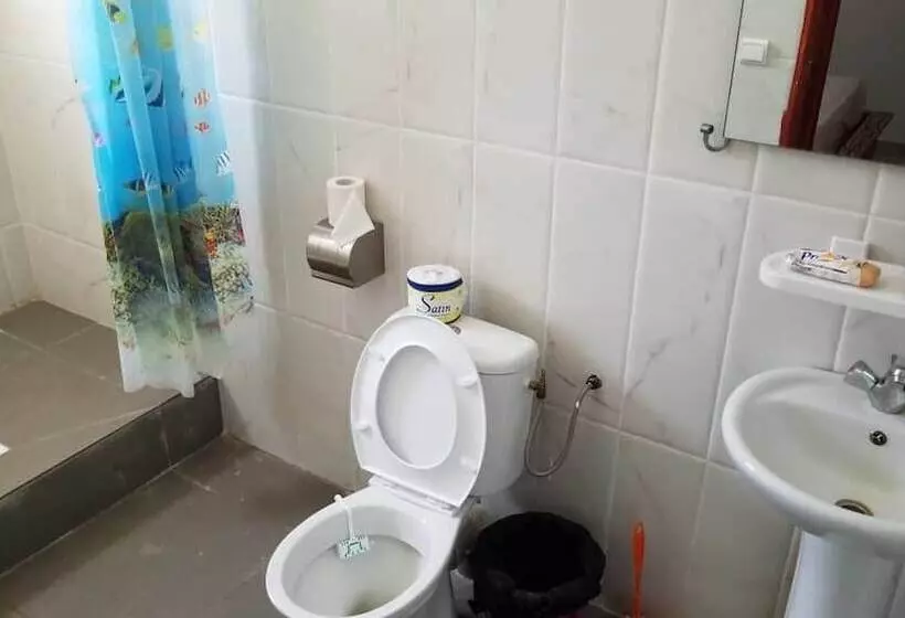 Nautica Service Maison Rose