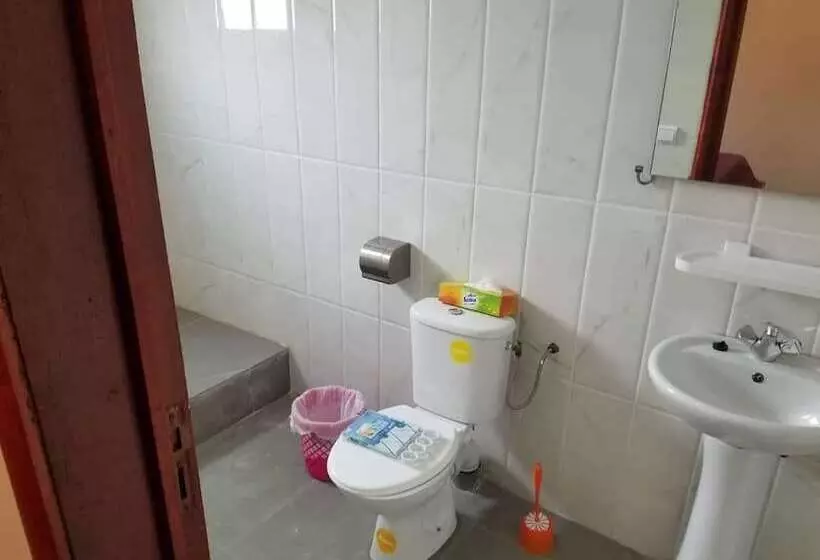 Nautica Service Maison Rose