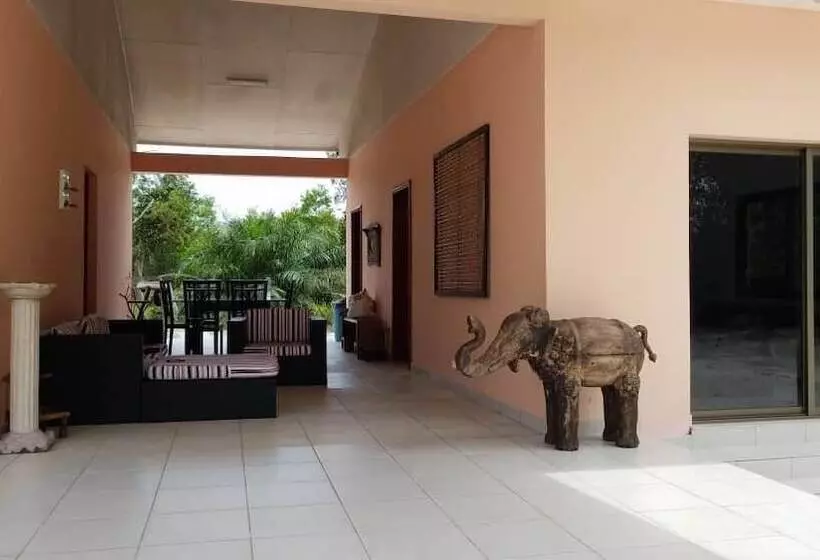 Nautica Service Maison Rose