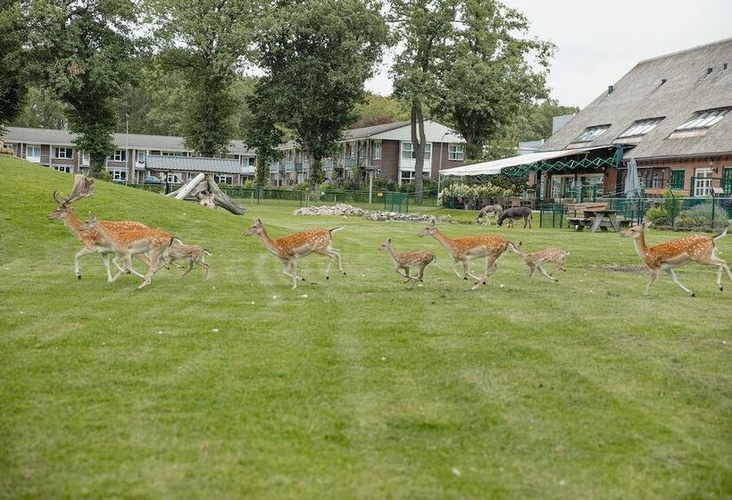 住宿加早餐  Buiten Gewoon   Gewoon Buiten
