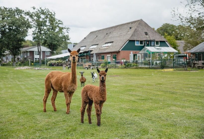 住宿加早餐  Buiten Gewoon   Gewoon Buiten