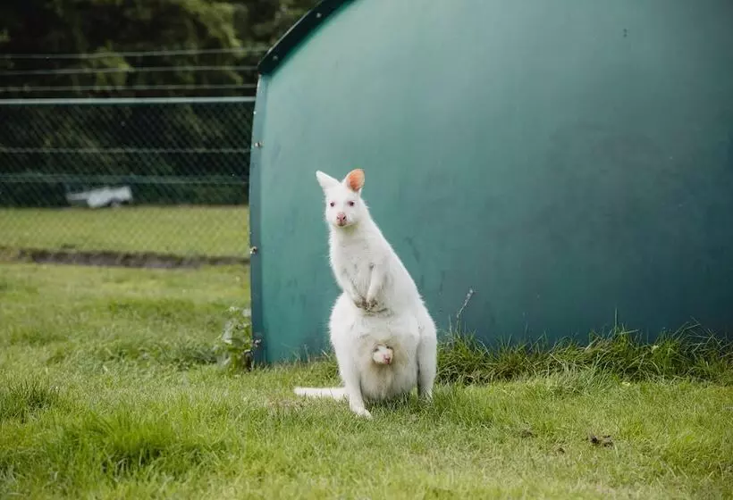 ベッドアンドブレックファースト Buiten Gewoon   Gewoon Buiten