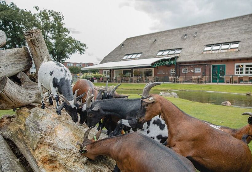 住宿加早餐  Buiten Gewoon   Gewoon Buiten