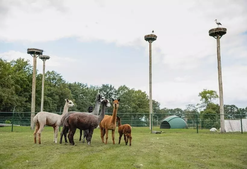 ベッドアンドブレックファースト Buiten Gewoon   Gewoon Buiten