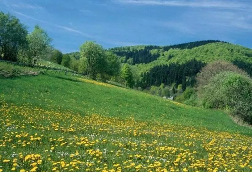 Lomakeskus Typ Murmeltier
