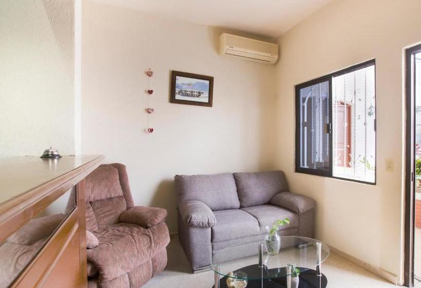 Hotel Capital O  J Y M