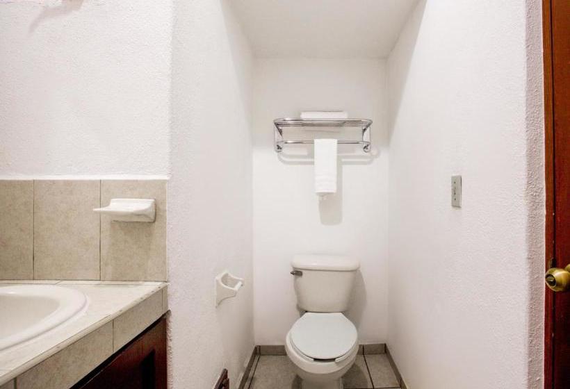 Hotel Capital O  J Y M