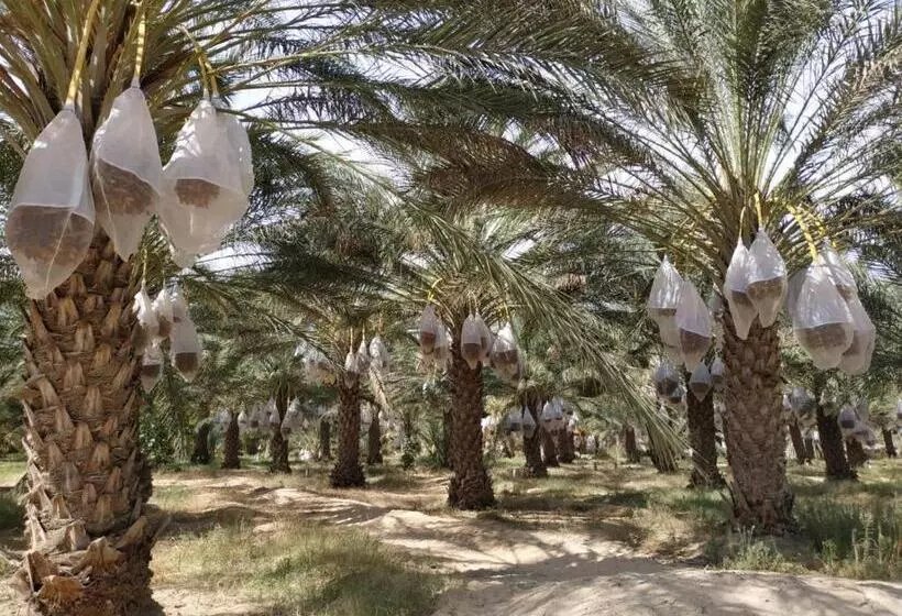 Majatalo Grand Sud, La Maison De Sable