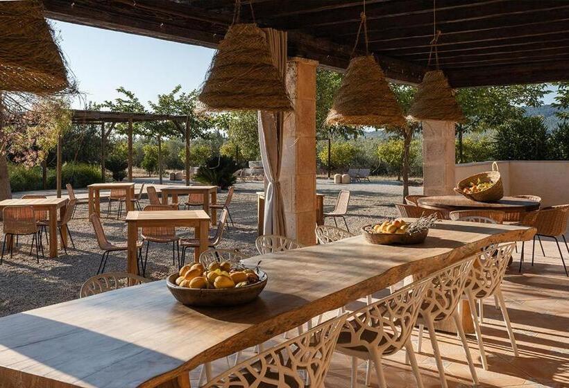 住宿加早餐  La Farm Baleares