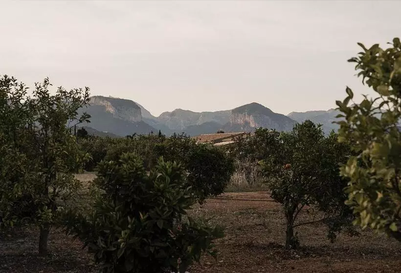 ベッドアンドブレックファースト La Farm Baleares