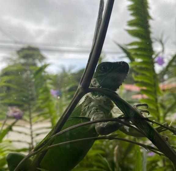 هتل Ocean View Lodge