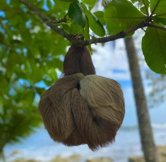 Hotelli Ocean View Lodge