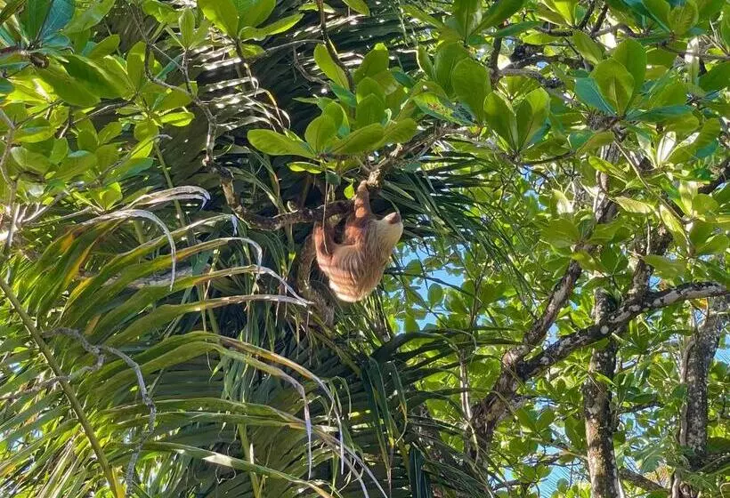 Hotelli Ocean View Lodge