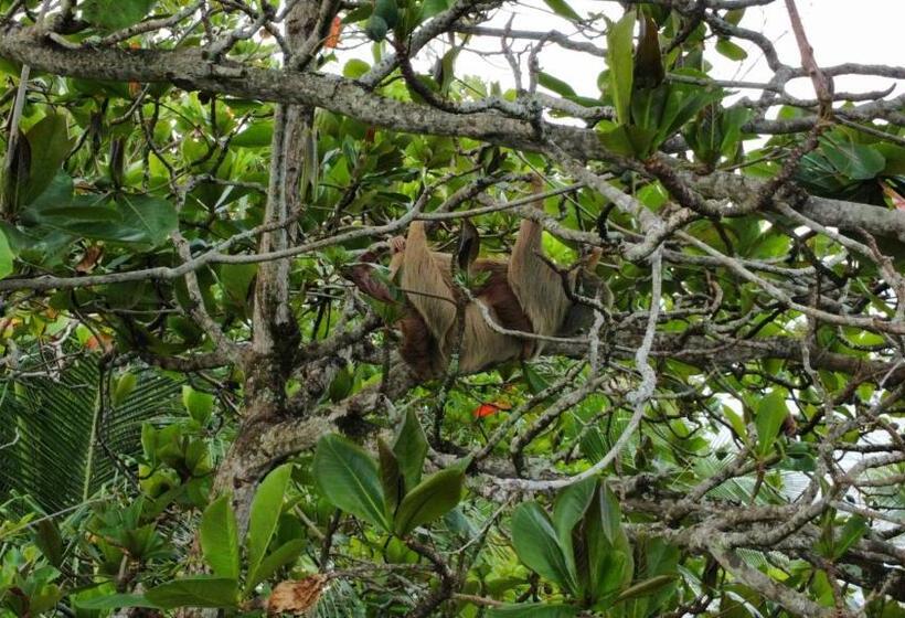 هتل Ocean View Lodge