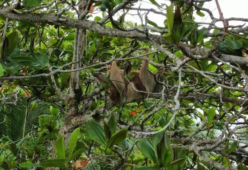 Hotelli Ocean View Lodge