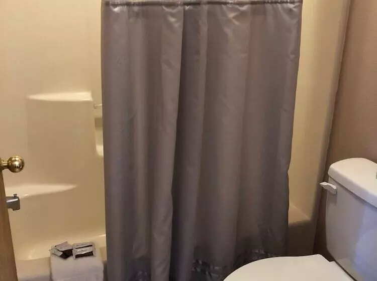 酒店 Sumner Motor Inn