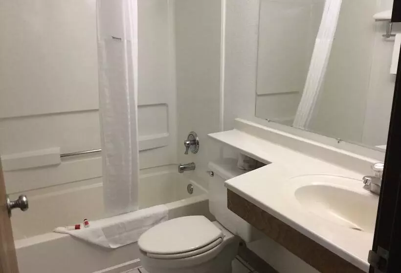 Отель Super 8 By Wyndham New Stanton