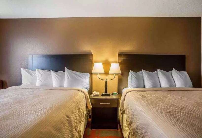 Motel Quality Inn & Suites