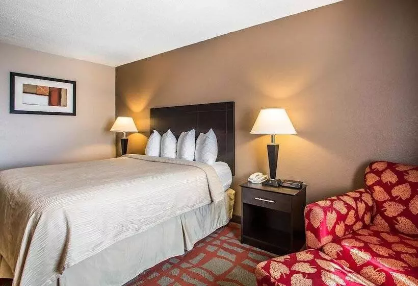 Motel Quality Inn & Suites