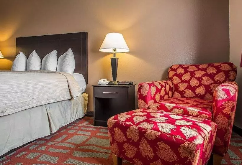 Motel Quality Inn & Suites