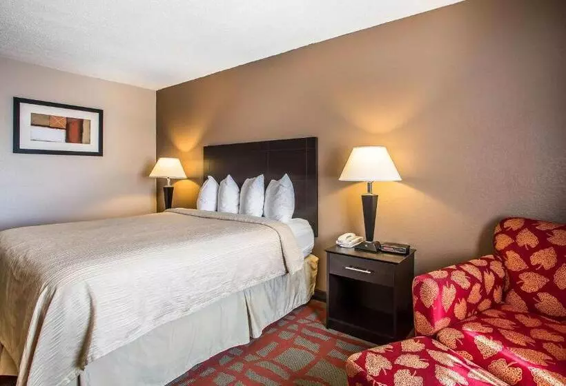 Motel Quality Inn & Suites