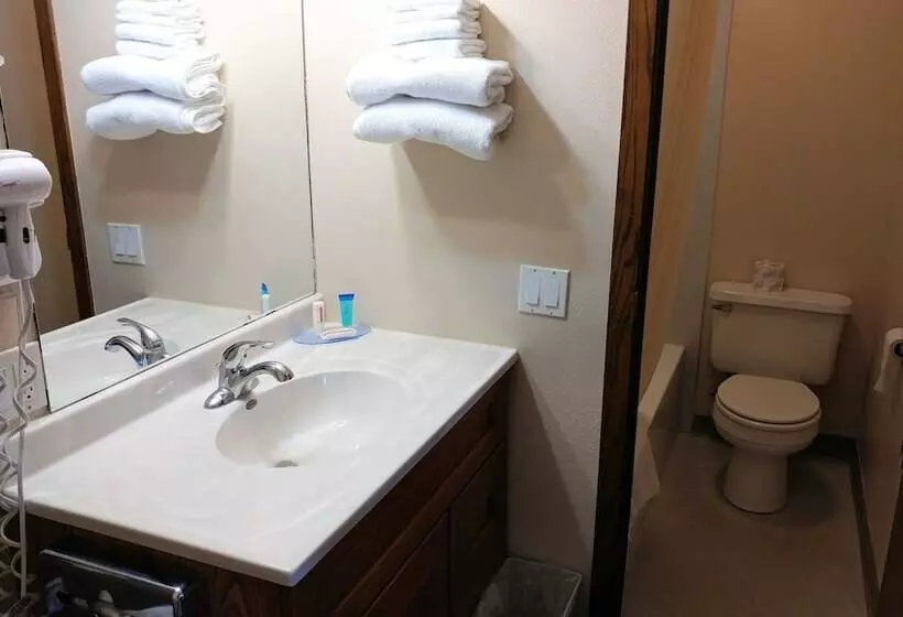 汽车旅馆  Red Carpet Inn  Windom